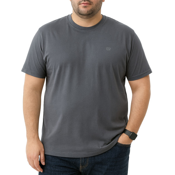 تیشرت آستین کوتاه سایز بزرگ مردانه تن کوک مدل 26518426