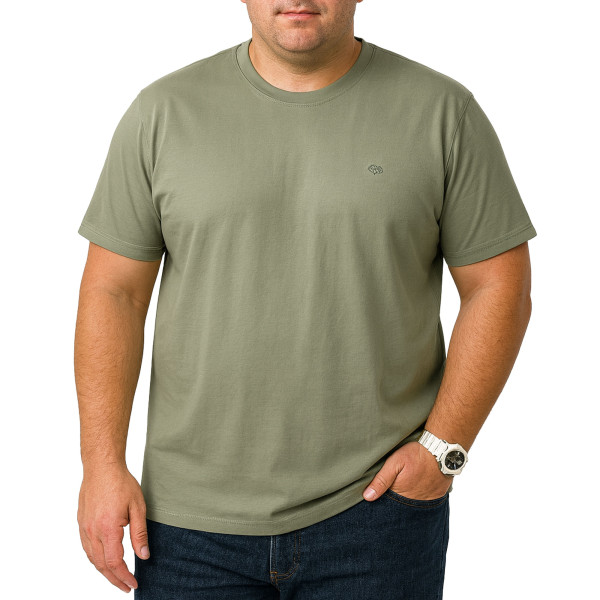 تیشرت آستین کوتاه سایز بزرگ مردانه تن کوک مدل 26518423