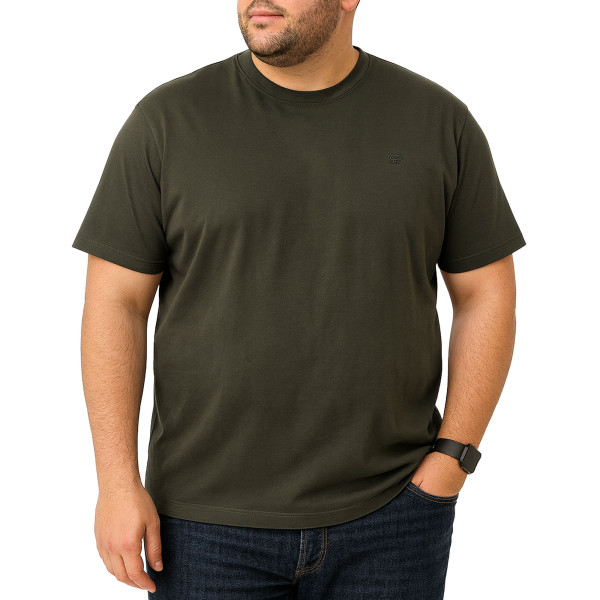 تیشرت آستین کوتاه سایز بزرگ مردانه تن کوک مدل 26518432