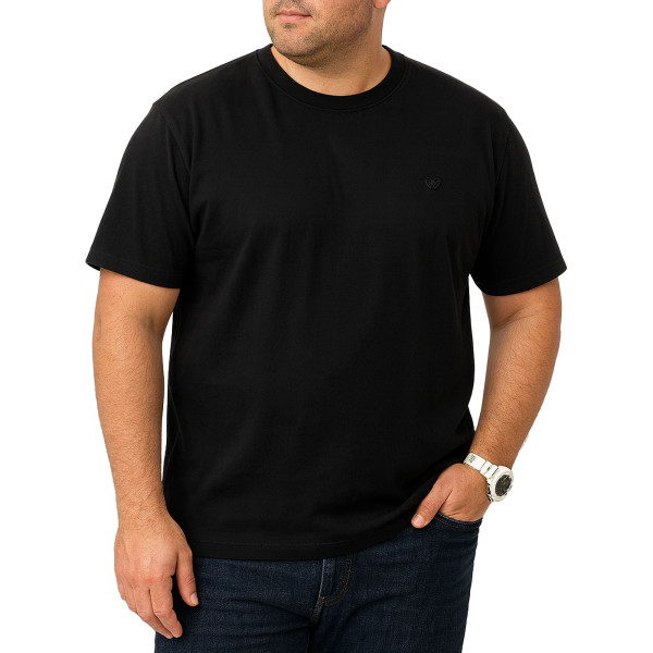 تیشرت آستین کوتاه سایز بزرگ مردانه تن کوک مدل 26518430